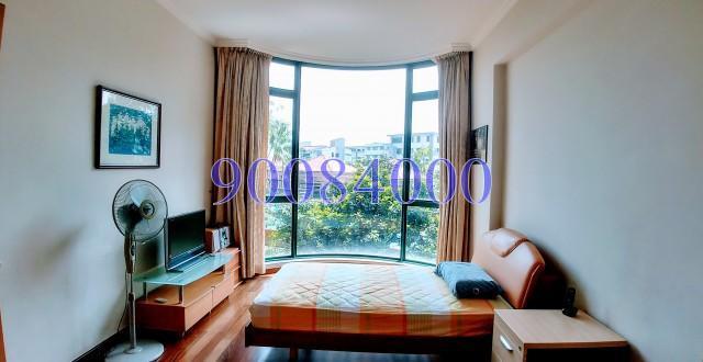 Thomson 800 (D11), Condominium #146356202